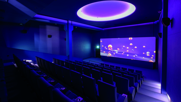 LED Strips & Neonflex Cinema White (6)