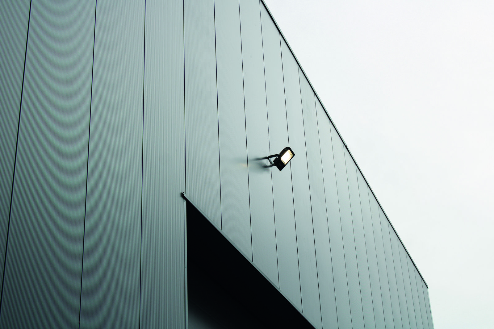 Bois Lejeune Evolve 1