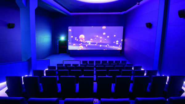 LED Strips & Neonflex Cinema White (5)