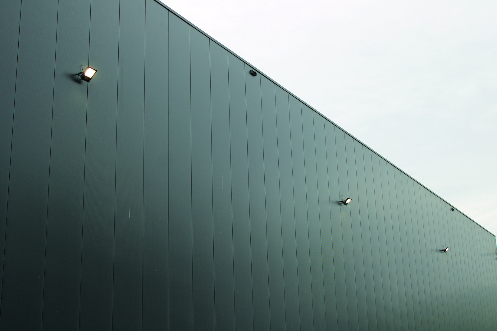 Bois Lejeune Evolve 2